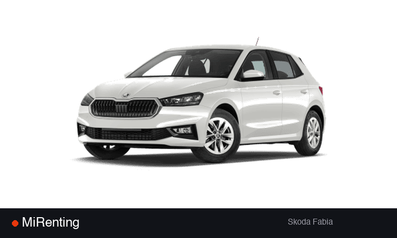 Renting Skoda Fabia — precio desde 206.0€/mes